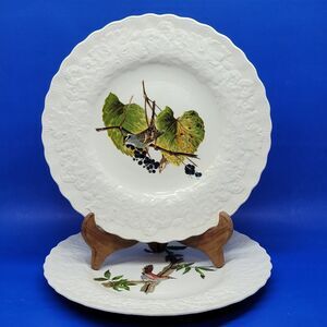 Alfred Meakin  Audubon Society 11" Plates White crowned sparrow & Bewicks Wren